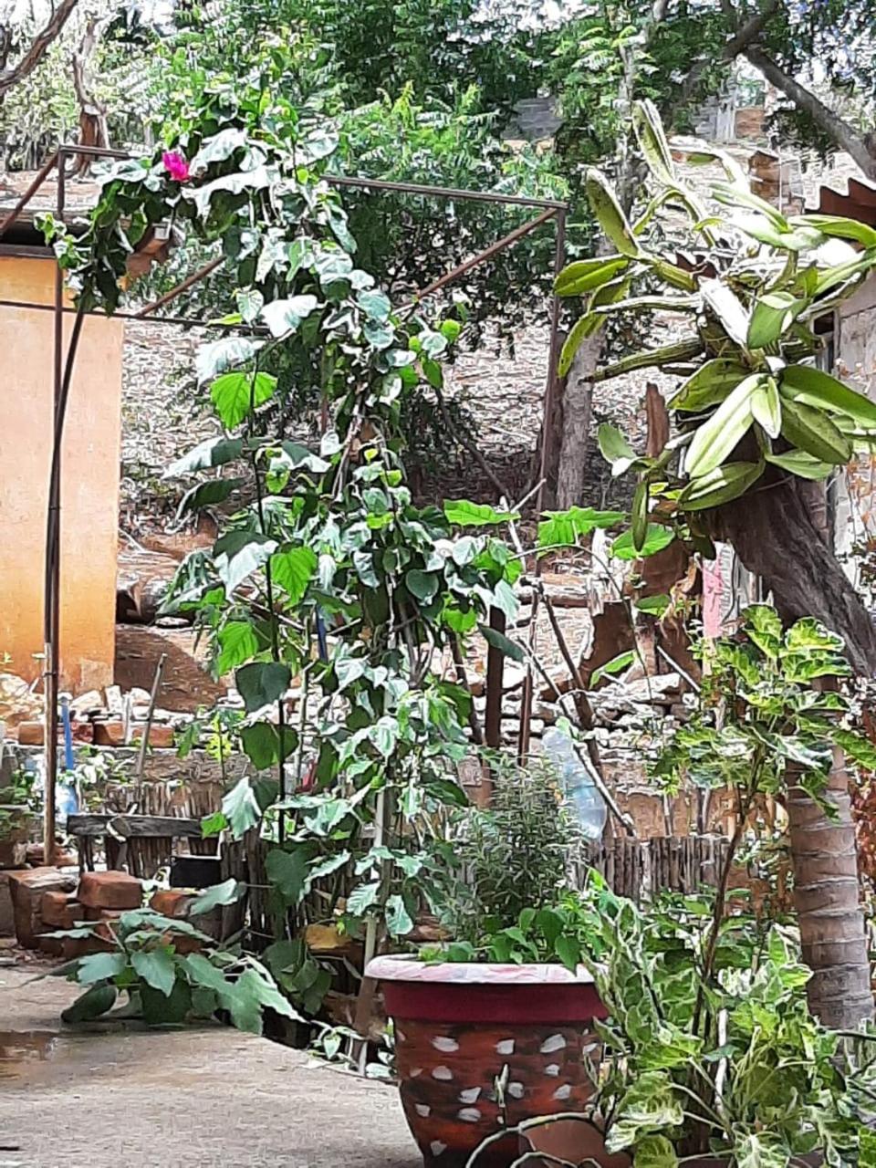 El Jardin Hotel San Juan del Sur Ngoại thất bức ảnh